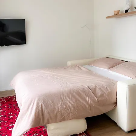 Apartment Heaven Rooftop With 2 Balconies -403- Zürich
